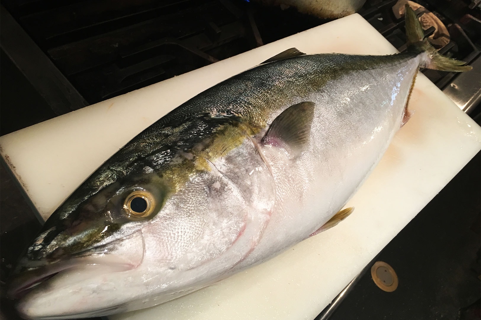 A large, fresh whole Yellowtail (Hamachi) fish displayed on a white cutting board in a professional kitchen setting.