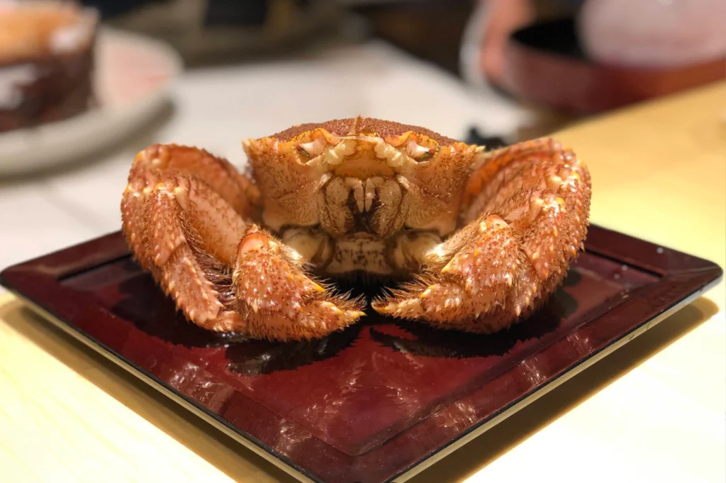 A centered close-up shot of a whole steamed Japanese horsehair crab (Kegani) presented facing forward on a square, dark-red lacquered tray resting on a light-wood dining counter.